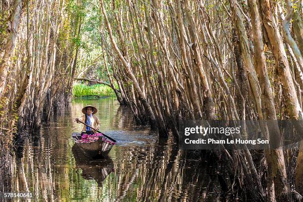 young vietnamese woman rowing boat loaded flowers - river mekong stock pictures, royalty-free photos & images