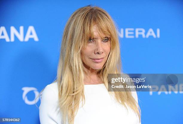 Actress Rosanna Arquette attends Oceana: Sting Under the Stars on July 18, 2016 in Los Angeles, California.
