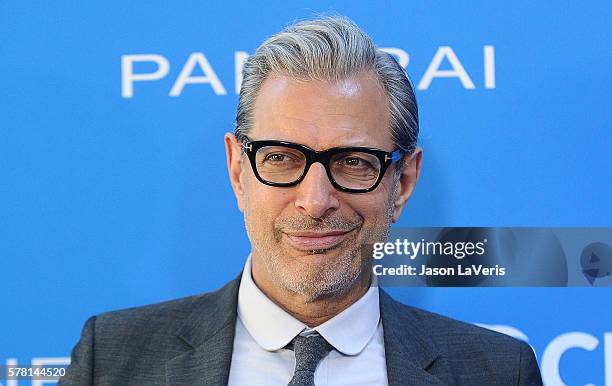 Actor Jeff Goldblum attends Oceana: Sting Under the Stars on July 18, 2016 in Los Angeles, California.