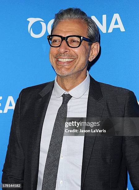 Actor Jeff Goldblum attends Oceana: Sting Under the Stars on July 18, 2016 in Los Angeles, California.