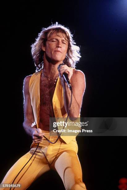 THE BEACH BOYS vs BEE GEES Andy-gibb-of-the-bee-gees-circa-1981-in-new-york-city
