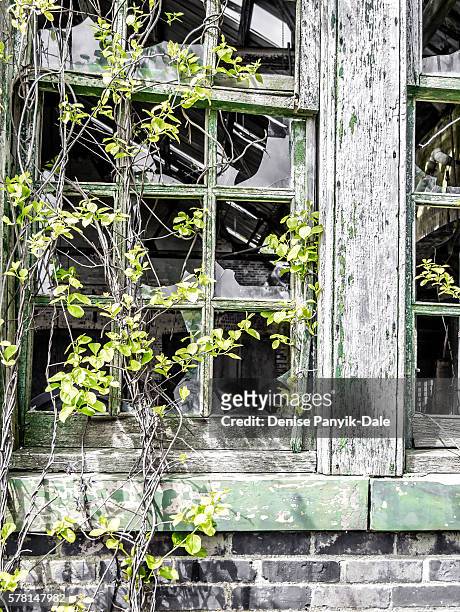 broken windows on abandoned building - ニュージャージー州サンディフック ストックフォトと画像