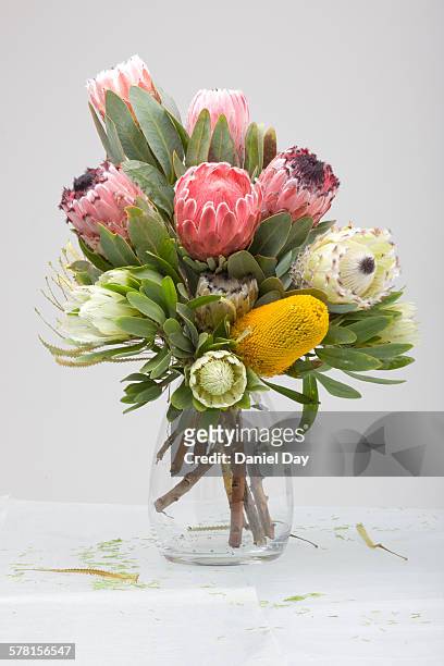 flower arrangement of protea's - protea stock pictures, royalty-free photos & images