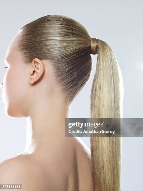 beauty - hair back 個照片及圖片檔