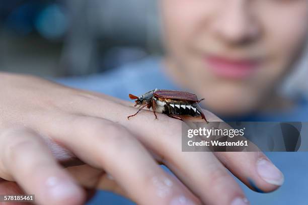 boy with maybug on his hand - june bug stock pictures, royalty-free photos & images