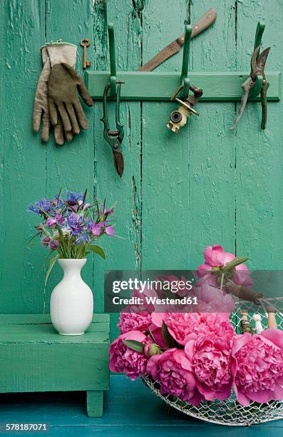 still life with garden flowers and different gardening tools - agrostemma githago stock pictures, royalty-free photos & images