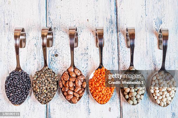 row of spoons with different dried pulses - peulvruchtenfamilie stockfoto's en -beelden