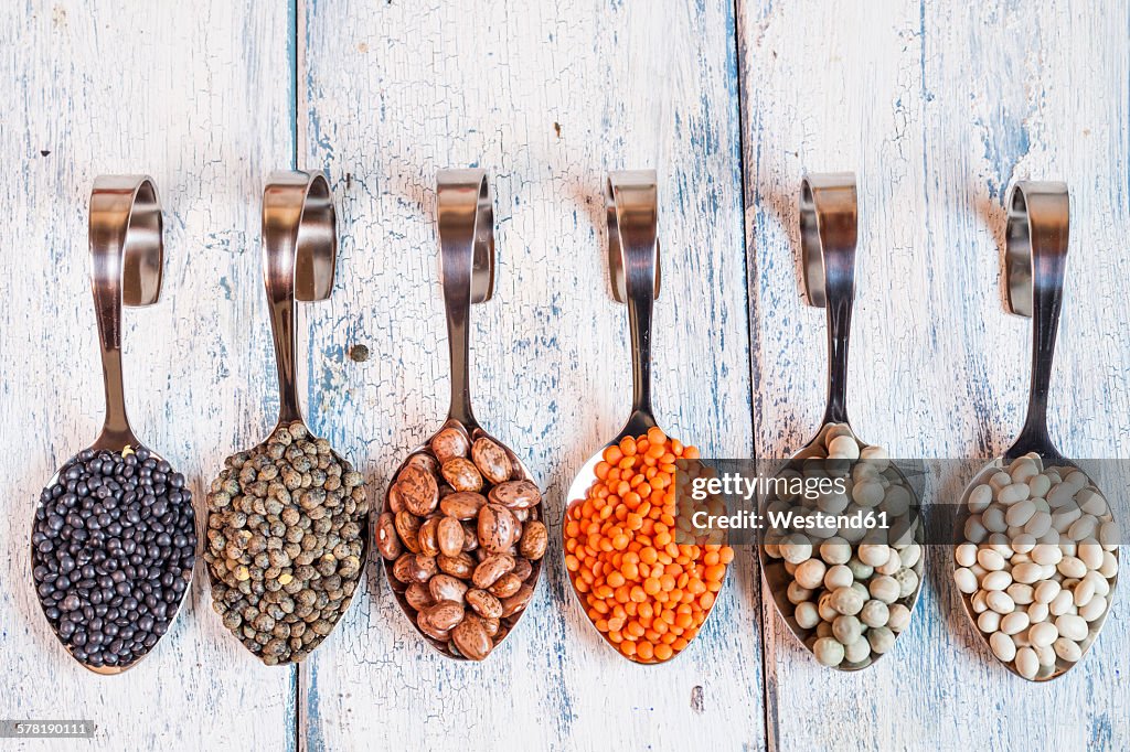 Row of spoons with different dried pulses