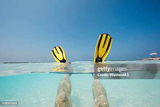 maldives, man's feet with flippers in shallow water - subjektive kamera ungewöhnliche ansicht stock-fotos und bilder