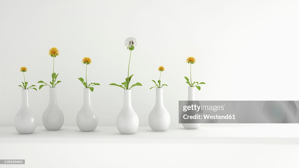 Row of white flower vases with a blowball and dandelions, 3D Rendering