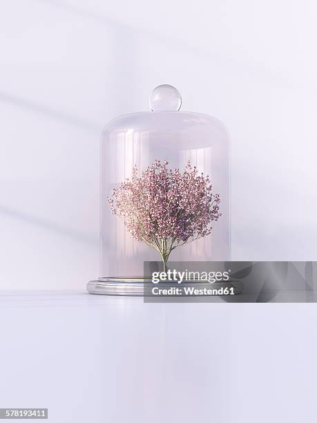japanese blooming cherry under bell jar, 3d rendering - bell jar点のイラスト素材／クリップアート素材／マンガ素材／アイコン素材
