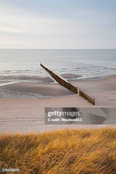 germany, lower saxony, east frisia, wangerooge, north sea coast, beach and breakwater - ostfriesiska öarna bildbanksfoton och bilder