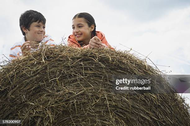 portrait of a boy and his sister lying on top of a haystack - hermana 個照片及圖片檔