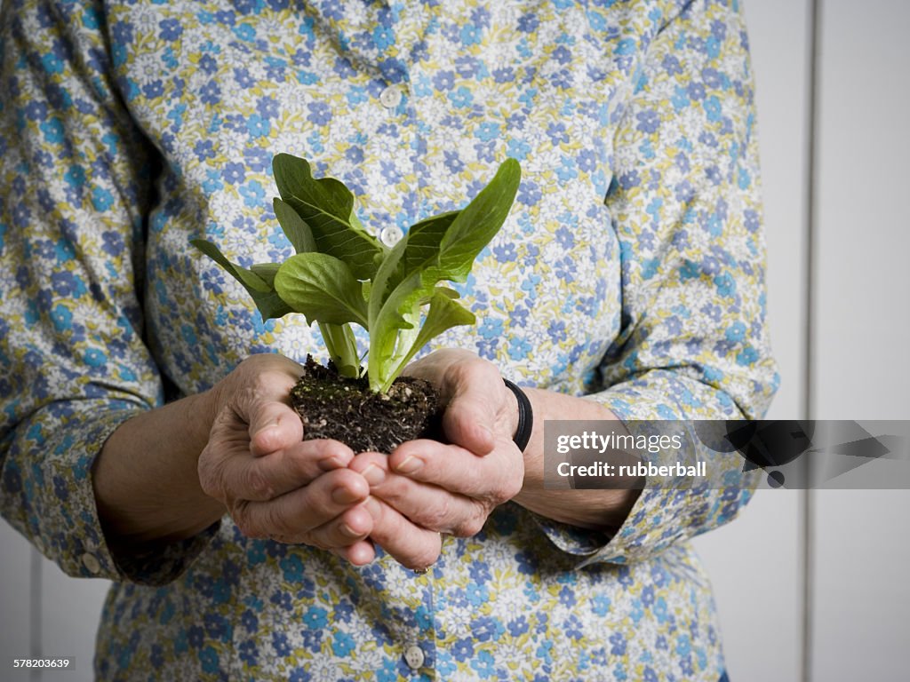 Mid section view of a woman holding a plant