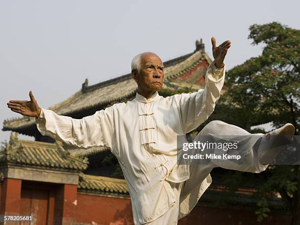 man doing kung fu outdoors with pagoda in background - himmelstempel stock-fotos und bilder