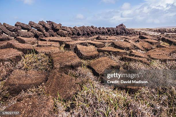 blocks of peat drying after cutting. - peat stock pictures, royalty-free photos & images