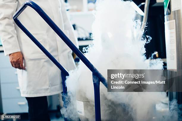 347 Liquid Nitrogen Laboratory Stock Photos, High-Res Pictures, and ...
