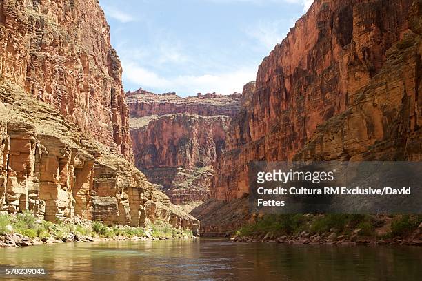 low angle view of grand canyon from colorado river, arizona, usa - コロラド川 ストックフォトと画像