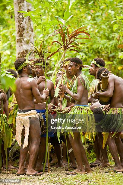 Matong East Island Papua New Guinea Photos and Premium High Res Pictures ...