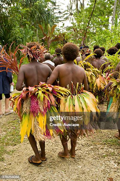 Matong East Island Papua New Guinea Photos and Premium High Res Pictures ...