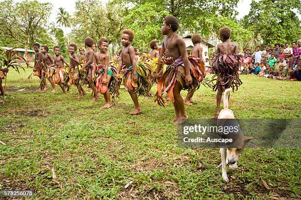 Matong 16 Matong Village Photos & High Res Pictures - Getty Images
