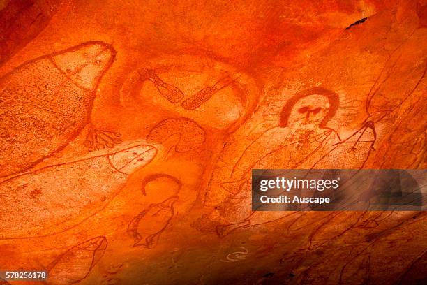 Aboriginal cave paintings in rock shelter with Wandjina spirit figure and marine life. Raft Point Gallery, Kimberley Region, Western Australia,...