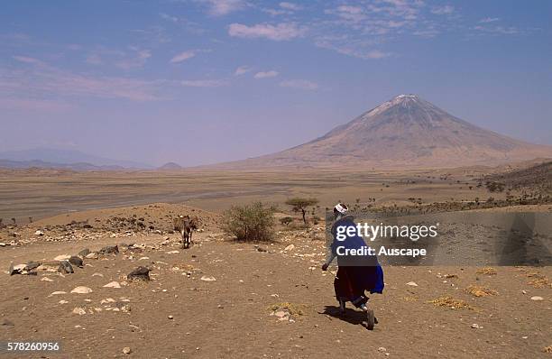 Ol Doinyo Lengai, active volcano that last erupted in 2007-2008, with a tribesman and pack animals. Edge of the Great Rift Valley, Tanzania.