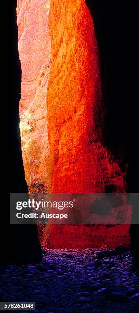 Echidna Chasm, Purnululu National Park, Kimberley region, Western Australia, Australia.