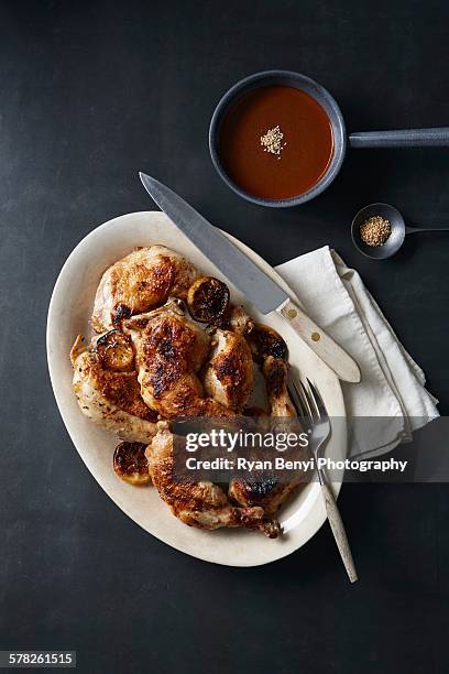 day of the dead food with roasted chicken and mole poblano sauce - mole sauce fotografías e imágenes de stock