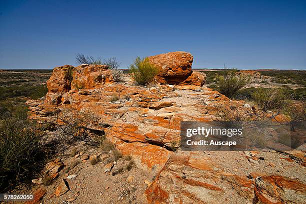 Basement Rocks Escarpment Great Escarpment Australia Photos and Premium High Res Pictures - Getty ...