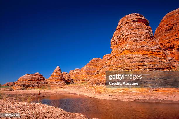 Beehive rock formations, Bungle Bungle Range, Purnululu National Park, Kimberley region, Western Australia, Australia.