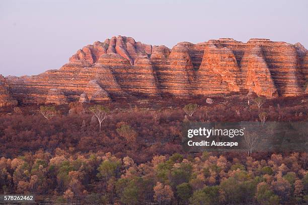 Bungle Bungle Range from Piccaninny Lookout. The darker bands on the formations have a higher clay content so hold moisture better, they support...