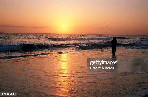 Recreational fisherman at dawn, Bribie Island, southeastern Queensland, Australia.