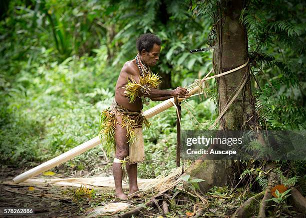 Man Making Rope Cape Nelson (Papua New Guinea) Photos and Premium High Res Pictures ...