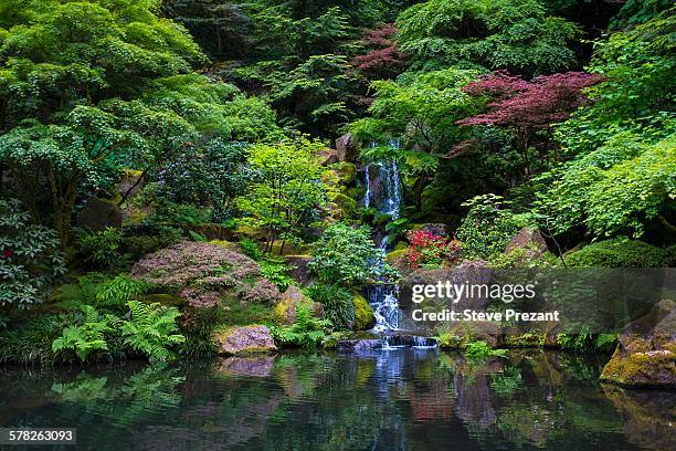japanese garden, portland, oregon, usa - jardín japonés fotografías e imágenes de stock