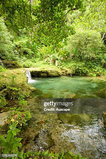 Mele Maat Cascades, a tourist attraction, for swimming in the pool or even abseiling down the falls. Ifira Island near Port Vila, Efte, Vanuatu.