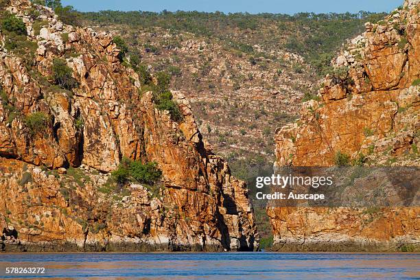 Drawed River Drowned River Valley Photos and Premium High Res Pictures - Getty Images