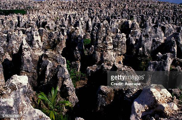 Phosphate mining site, now exhausted, leaving a barren terrain of limestone pinnacles. Nauru, central Pacific.