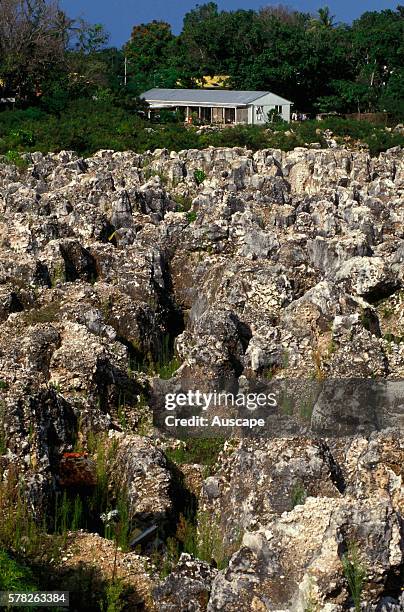 Phosphate mining site, now exhausted, leaving a barren terrain of limestone pinnacles. Nauru, Central Pacific.