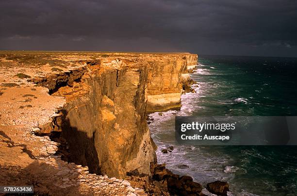 Bunda Cliffs and the Southern Ocean. The cliffs stretch for around 100 km along the Great Australian Bight, 60 to 120 m tall and sheer. Nullarbor...