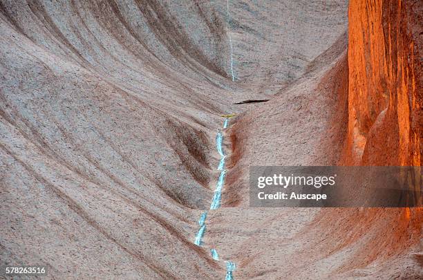 Path Runnel 50 Runnel Stock Photos, High-Res Pictures, and Images - Getty Images