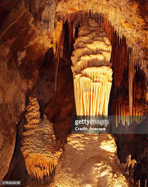 Stalactites, stalagmites and columns approximately one million years old, inside the limestone cave known as Temple of Baal. Jenolan Caves, New South...