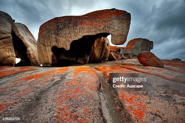 Flinders Group National Park Photos and Premium High Res Pictures ...