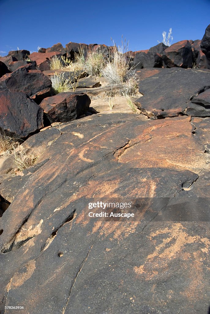 Aboriginal petroglyphs