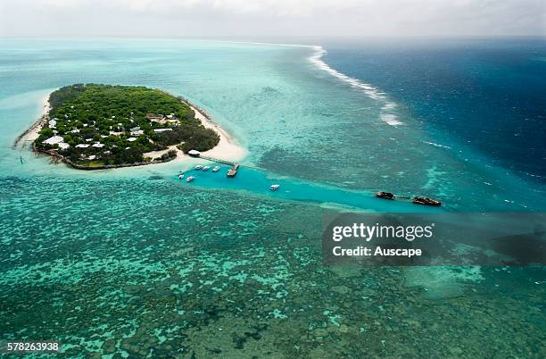 Heron Island, coray cay with resort and research station, Its fringing platform reef of significant biodiversity supports around 900 of the 1500 fish...