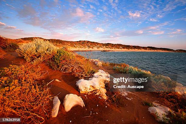 Point Peron, limestone cliffs, Cape Peron, Rockingham, Cockburn Sound, Western Australia, Australia.