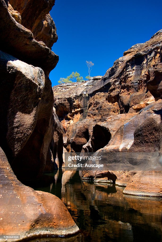 Cobbold Gorge extremely narrow in places with spectacular cliffs