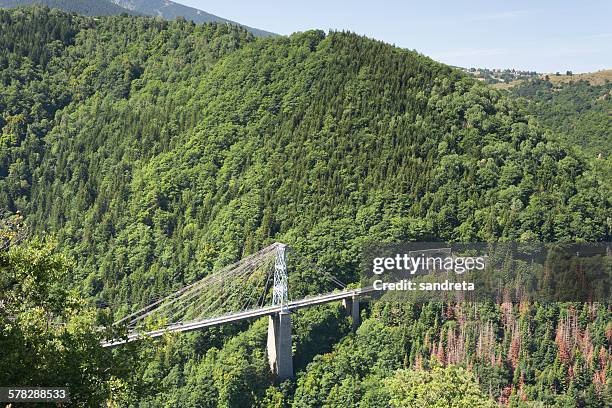suspension bridge - villefranche de conflent photos et images de collection