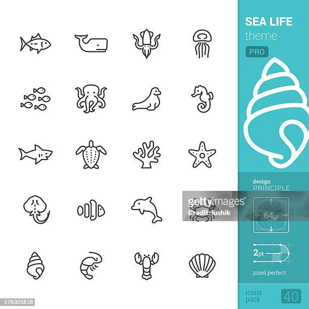 sea life theme, outline vector icons - pro pack - sea life stock illustrations