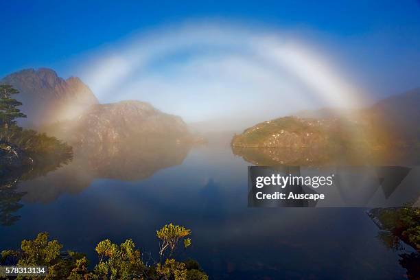 Brocken spectre, brocken bow or mountain spectre, a phenomenon caused when the shadow of an observer is projected and magnified through mist from a...